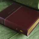 NIV Family Bible, Keepsake Edition by Zondervan (2012) Leather Bound
