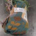 Boho Throw Blanket - 100% Cotton Soft Throw Blanket for Bed, 50"x60" Reversible Breathable Lightweight Spring Blankets, All Seasons Farmhouse Decor Floral Plant Bird Throw Quilt