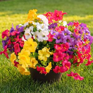 Artificial Flowers for Outdoors Fake Plants Outside Decoration, 12 Bundles Silk Petunia with Eucalyptus UV Resistant Realistic Faux Flowers for Outdoor Planters Garden Balcony (4 Color)