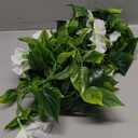Artificial Morning Glory Flower Vines, Fake Hanging Plants Silk Garland Ivy Faux Green Leaves Vine Decoration for Home Bedroom Wedding Party Garden Wall Fence Stairway Baskets Decor White 2 Pack