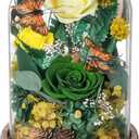 NOVEINN Preserved Flowers in Glass Dome - Eternal Rose Arrangement with Real Preserved Plants, Romantic Forever Rose Gift for Women - Anniversary, Birthday, Mothers Day, Home Decor(Yellow)
