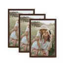16x24 Frame Set of 3, Dark Brown Wood Grain 16x24 Poster Frame for Gallery Wall Mounting (3 Pack,Walnut)
