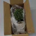 Woration Artificial Green Grass Ball Potted Fake Shrubs Big & Small Ball Plant Decoration Faux Small Boxwood Topiary Home Office Desk Table Room, 2 Pack