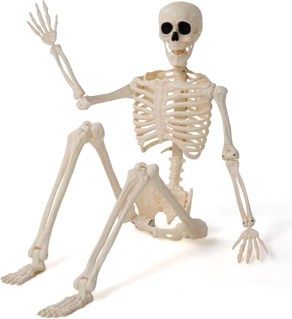 JOYIN 36" Halloween Skeleton Decor, 3FT Full Body Stayable Movable Joints, Posable Hanging Skeletons for Halloween Decoration, Yard, Graveyard, Haunted House Props, Spooky Scene Party Favor
