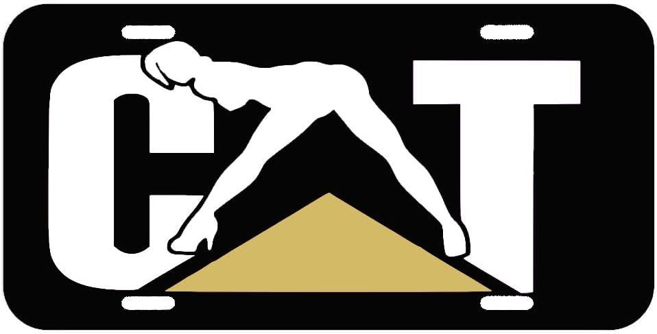 Metal License Plate Frames for Cat for Caterpillar Decorative Plates Funny Design-Tf-86-72 (69)