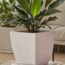 Square Plant Saucer 12 Inch 1 PackPlant Trays for Pots, White Ceramic Plant Saucers for Indoors Outdoors, Plant Drip Tray 4 6 8 10 12 14 Inch
