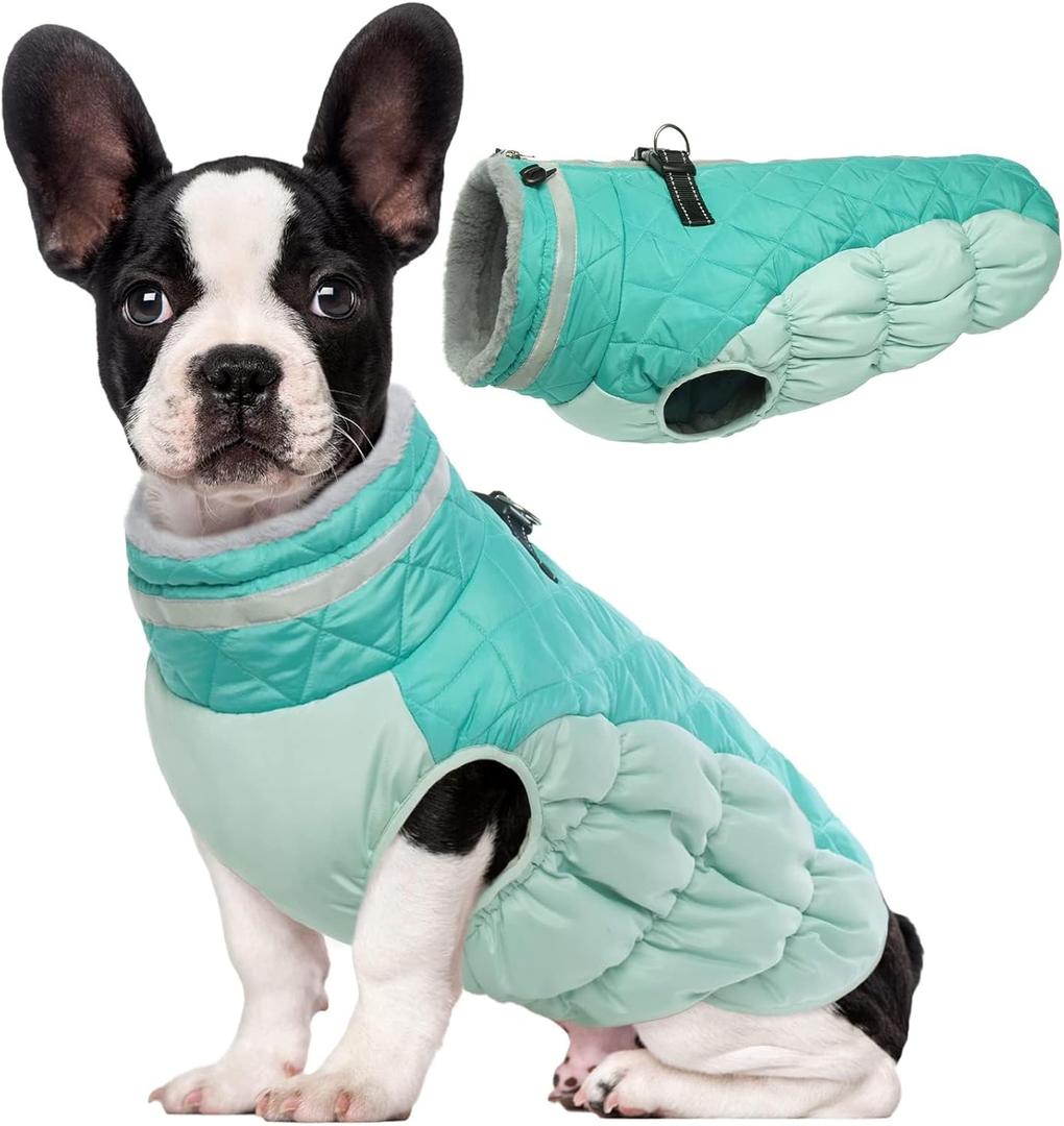 Lelepet Warm Dog Winter Coat - Fleece Dog Jacket with Built-in Harness, Windproof & Waterproof, Reflective Turtleneck, Coats for Small Dogs, Neo Mint, XS