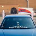 Didiseaon Easter Bunny Ears Nose Car Decor: Rabbit Ears Car Antenna Topper, Outdoor Easter Decorations for Auto Vehicles Christmas Party Exterior Accessories