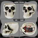 Halloween Skull Head Decor, Resin Skull Statues, Resin Skull Head Tabletop Decoration for Halloween Home Office Decor Candy Servers