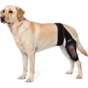 Dog Knee Brace for Hind & Rear Legs,Adjustable Dogs Compression Brace with Joint Instability, Torn ACL, Limping or Osteoarthritis - Reduces Pain and Inflammation,Post Surgery Care Recovery-Black (M)