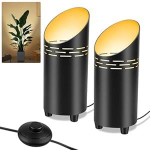LINQELLY 2 Pack Uplights Indoor Floor Can Lights 3000K Accent Lighting Spotlights Up Lights with Foot Switch for Living Room Corner Sofa House Plant Wall Artwork Decor