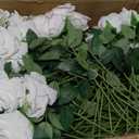 InnoGear 100 Pcs White Roses Artificial Flowers, Fake Velvet Silk Rose Bulk Faux Flower for Decoration DIY Wedding Centerpieces Proposal Bridal Bouquets Shower Party Home Floral Decor (100, White)