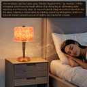 Salt Lamp with Touch Dimmer Control USB Himalayan Salt lamp Natural Rock Lamp High Transparency PC Lampshade (Excluding USB Adapter)