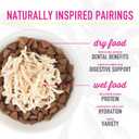 Tiki Cat Aloha Friends Variety Pack, Seafood Flavors with Pumpkin, Wet, High-Protein & High-Moisture Cat Food, For All Life Stages, 3 oz. Cans (Pack of 12) (EXP 10/01/28)