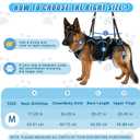 Dog Lift Harness for Large Male Dogs, 2-in-1, Back Leg Support & Mobility Assistance for Senior Dogs, Post-Surgery Recovery Sling(Medium)