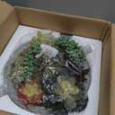 MyGift 8 Inch Round Modern Artificial Succulent Arrangement Potted in Gray Concrete Plant Bowl, Assorted Faux Mini Succulents in a Decorative Planter Pot