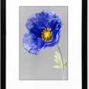 VNVNK 14x18 Frame Black, Perfect for 14x18 Inch Picture without Mat or 10x14 Inch Picture with Mat, Home Wall Decor Picture Frame-1 PCS
