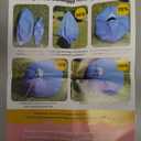 Outdoggy Dog Ball Toy Blue