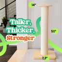 50" Tall Cat Scratching Post, Extra-Large Cat Scratch Post for Biggest Cats (Maine Coon), 7.3 Thick Post, 36lbs Weight, Solid Wood Base & Natural Sisal Rope