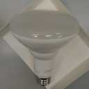 Feit Electric BR30 Smart Flood Light Bulb,2.4GHz WiFi Color Changing and Dimmable, No Hub, Works with Alexa or Google Assistant, BR30/RGBW/CA/AG, 65W, Multi-Color (RGBW), 1 Count (Pack of 1)