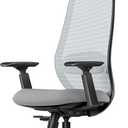 ProtoArc Ergonomic Office Chair EC200 High-Back Mesh Computer Chair with Lumbar Support, 3D Adjustable Headrest & Sliding Seat for 8+ Hour Comfort, Big & Tall Home Office Desk Chairs - Gray