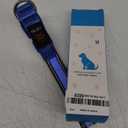 Vizpet LED Dog Collar, Light Up Dog Collar Adjustable USB Rechargeable Super Bright Safety Light Glowing Collars for Dogs ,Blue M