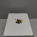 Festiva 400Pcs Black Gold Dessert Plates 6.3" with Forks 5"- 200PCS Small Disposable Dessert/Cake/Appetizer Plates and 200PCS Forks - Serve 200 Guests for Birthday Party& Wedding