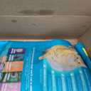 IAMS Proactive Health Dry Cat Food, Indoor Weight and Hairball Care Cat Food Dry Recipe, with Real Chicken in Every Bite, 22 lb. Bag (EXP 11/26/36)