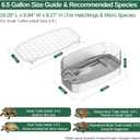 Turtle Tank Kit 6.5 Gal Escape-Proof with Basking Platform, Pump and Lid