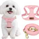 Guiding Star Dog Harness Small Sized Dog with Multifunction Leash, No Pull Puppy Dog Harness and Leash Set Training, Cute Soft Adjustable Dog Walking Harness Pet Vest Harness (Pink-XS) (XS(4.5-11lbs))