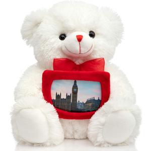 HollyHOME Teddy Bear Stuffed Animal Plush Bear with Red Bow Holding a Picture Frame Soft Plush Toy Holiday Toy Gift 12 Inches Whit