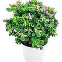 Artificial 9" Boxwood Plant Green 