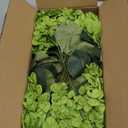 4 Pcs Hydrangea Artificial Flowers Outdoor Silk Bouquets, UV Resistant Green Faux Hydrangeas Flowers for Table Vase Centerpieces Outside Party Wedding St Patrick's Day Home Outdoor Decor (4, Green)