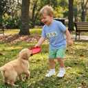 Toddler Baby Boys Frog Outfit 2Pcs Infant Summer Clothes Embroidery Short Sleeves T Shirts and Gingham Shorts Set
