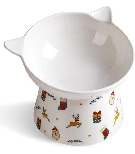 Ceramic Raised Cat Bowl Tilted Raised Cat Bowl Anti Vomit Cat Bowls for Indoor Cats Whisker Friendly Pet Feeder for Cats Puppies, Microwave and Dishwasher Safe 