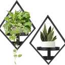 Sbosbo Wall Plant Holder, 2 Pack Metal Floating Shelves Indoor, Window Sill Plant Shelf for Bedroom Bathroom Living Room Home Office