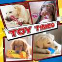 Zeaxuie 12 Pack Long-Lasting Heavy Various Dog Chew Toys Pack for Aggressive Chewers,Includes Dog Rope Toy,Squeaky Toys & Indestructible Chew Bone for Medium,Large & X-Large Breeds Dogs (Colorful)