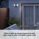 Blink Wired Floodlight Camera - Smart security camera, 2600 lumens, HD live view, enhanced motion detection, built-in siren, Works with Alexa  1 camera (Black)