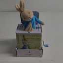 Beatrix Potter Peter Rabbit Jack-in-The-Box, Multi-colored, Standard