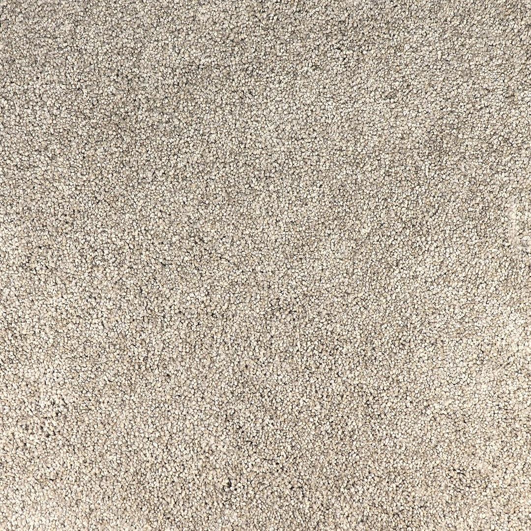 Peak Performance Peel and Stick Carpet Tiles with Attached Cushion, Easy DIY Install, Soft Residential Carpet, Seamless Appearance (Denali, 10 Tiles - 22.5 Square Feet)