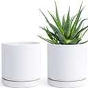 D'vine Dev Set of 2 Plants Pots, 6 Inch Ceramic Planter Pot for Plants with Drainage Hole and Saucer, White, 94-V-C-1