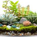 CYS Excel Large Glass Cylinder Vase (H:4" D:14") Flower Vase Centerpieces Hurricane Floating Pillar Candle Holder Terrarium Planter