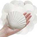 ASBEFORE 10Pcs 4-5“ Sea Shells Natural Scallop for Crafts - DIY Jewelry Holder Large Painting Beach Decorations Ocean Themed Sea Party Wedding Shell Bowl Pack of 3