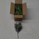 POANTA 5 Pack Assorted Artificial Succulents Air Plants Set Unpotted Realistic Greenery Plants Home Garden Decoration