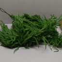 Senjie Christmas Garland Norfolk Pine Garland Real Touch Artificial Greenery Garland for Mantle Fireplace Table Indoor Outdoor Holiday Decortions 5FT 2PCS