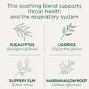 Traditional Medicinals Organic, Throat Coat Tea, Eucalyptus & Slippery Elm - Supports Respiratory and Throat Health - Kosher, Non-GMO, Caffeine-Free, Compostable - 16 Tea Bags (EXP 07/01/29)