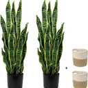 2 Set Large Fake Snake Plant 35 Inch Sansevieria Plant Artificial Snake Plants in Pots with Woven Basket Faux Mother In Law Tongue Plant - 30 Leaves Fake Laurentii for Indoor Outdoor Home Office Decor