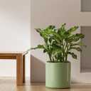 LE TAUCI 12 Inch Pot for Plants, Ceramic Planters for Indoor Plants, Mid-Century Modern Cylinder Flower Pots with Drainage Hole, Fits Fiddle Leaf Fig & Monstera, Home Decor, Sage Green