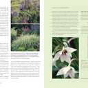 The Flower Gardener's Bible: A Complete Guide to Colorful Blooms All Season Long: 400 Favorite Flowers, Time-Tested Techniques, Creative Garden Designs, and a Lifetime of Gardening Wisdom