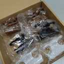 Celine hair clips pack of six black white and  tortoise shell